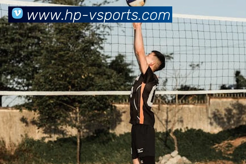 V体育Web版服务体系